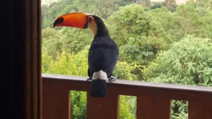 Pousada Vale Do Horizonte مونتي فيردي المظهر الخارجي الصورة